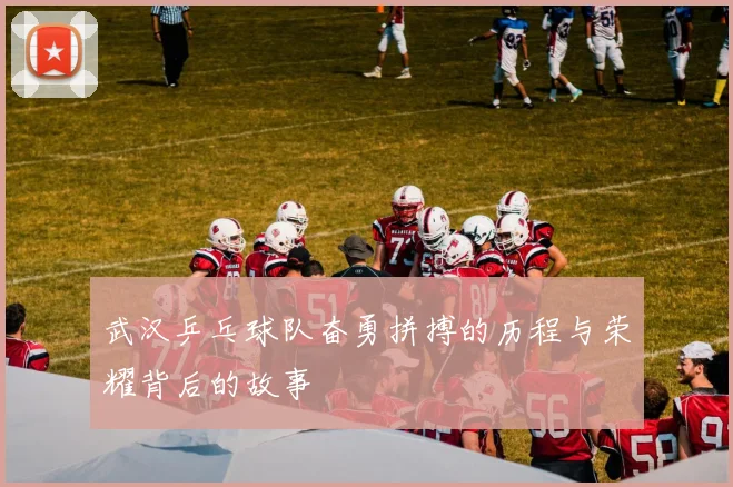 武汉乒乓球队奋勇拼搏的历程与荣耀背后的故事