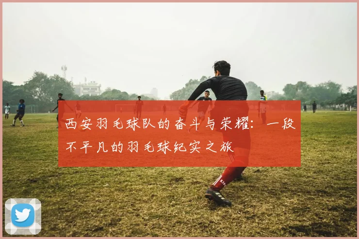 西安羽毛球队的奋斗与荣耀：一段不平凡的羽毛球纪实之旅