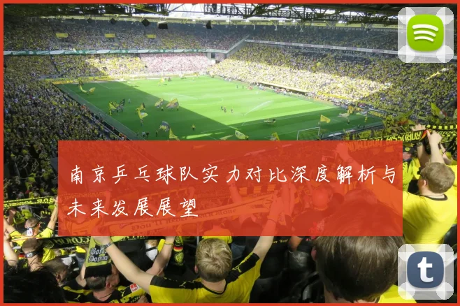 南京乒乓球队实力对比深度解析与未来发展展望