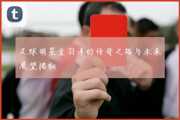 足球明星金羽洋的传奇之路与未来展望揭秘