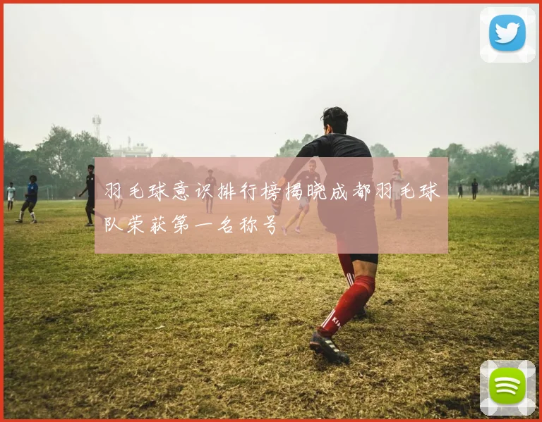 羽毛球意识排行榜揭晓成都羽毛球队荣获第一名称号