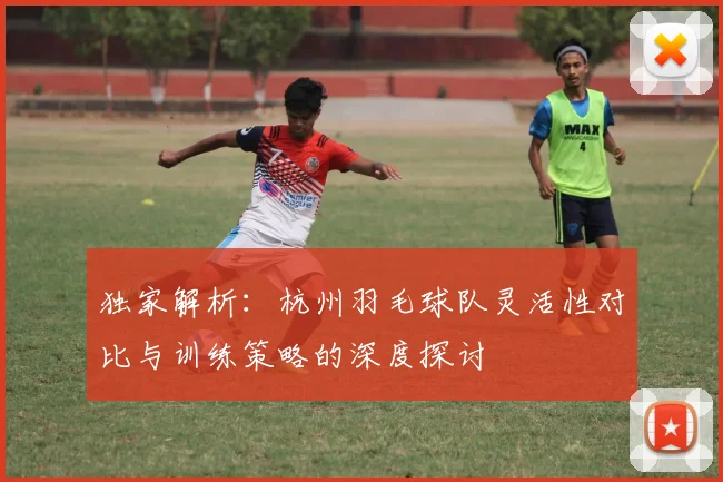 独家解析：杭州羽毛球队灵活性对比与训练策略的深度探讨