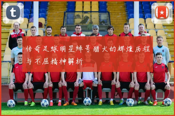 传奇足球明星绰号猎犬的辉煌历程与不屈精神解析