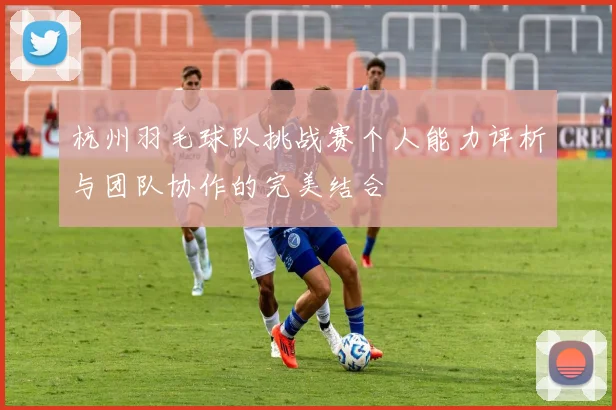 杭州羽毛球队挑战赛个人能力评析与团队协作的完美结合