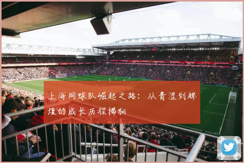 上海网球队崛起之路：从青涩到辉煌的成长历程揭秘