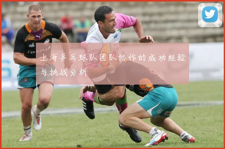 上海乒乓球队团队协作的成功经验与挑战分析