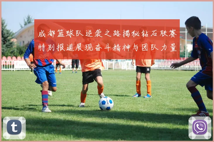 成都篮球队逆袭之路揭秘钻石联赛特别报道展现奋斗精神与团队力量