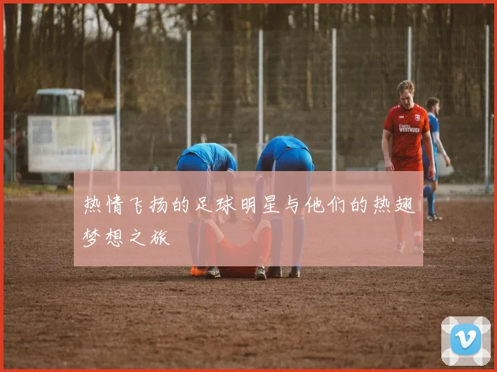热情飞扬的足球明星与他们的热翅梦想之旅