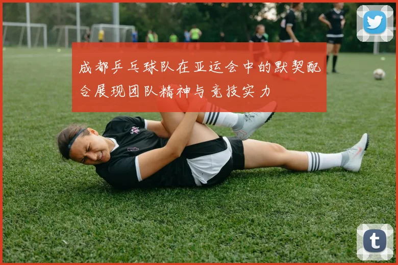 成都乒乓球队在亚运会中的默契配合展现团队精神与竞技实力