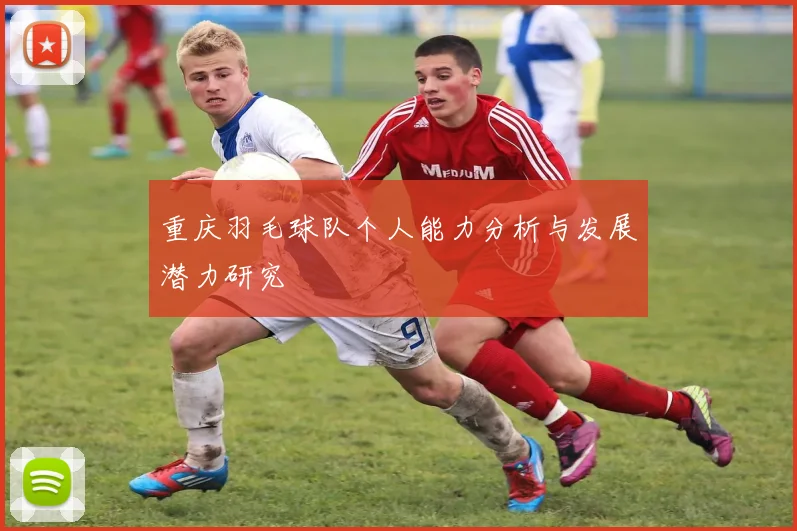 重庆羽毛球队个人能力分析与发展潜力研究