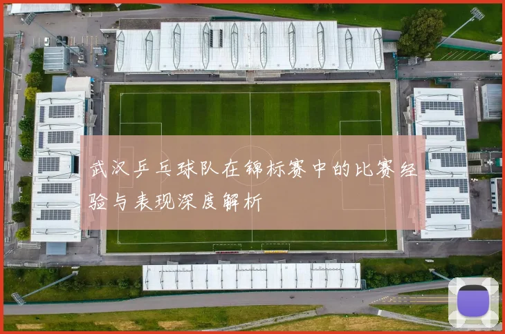 武汉乒乓球队在锦标赛中的比赛经验与表现深度解析