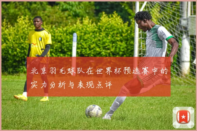 北京羽毛球队在世界杯预选赛中的实力分析与表现点评
