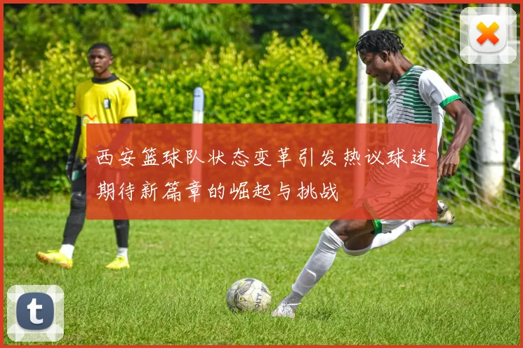 西安篮球队状态变革引发热议球迷期待新篇章的崛起与挑战