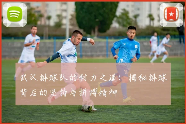 武汉排球队的耐力之道：揭秘排球背后的坚持与拼搏精神